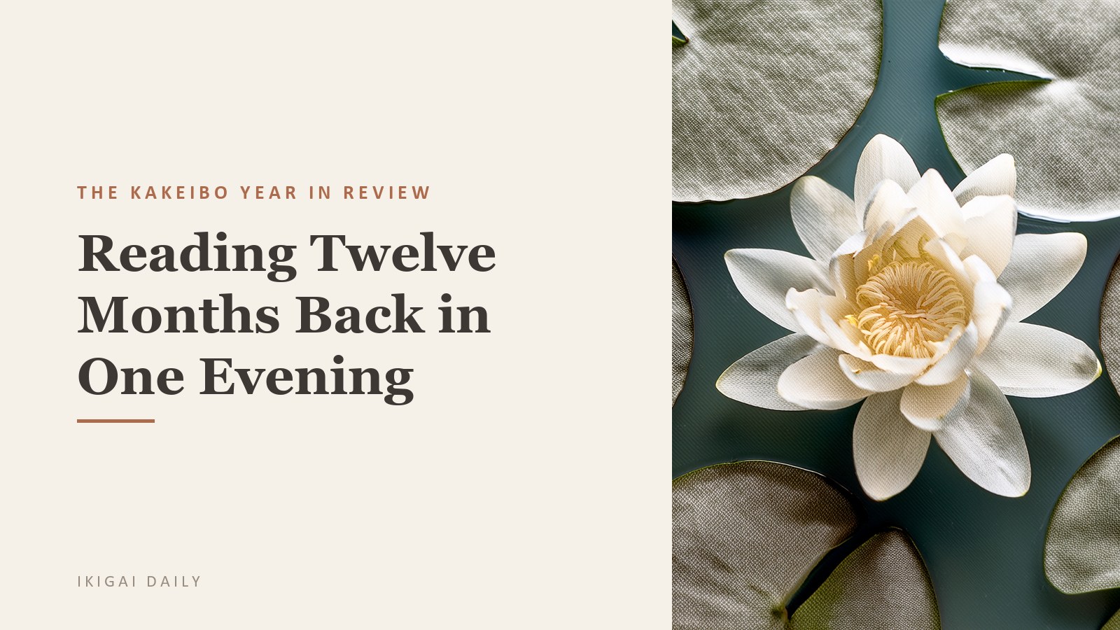 The Kakeibo Year in Review: Reading Twelve Months Back in One Evening